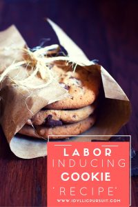 These cookies are said to induce labor! www.idyllicpursuit.com