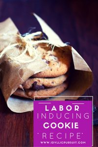 These cookies are said to induce labor! www.idyllicpursuit.com