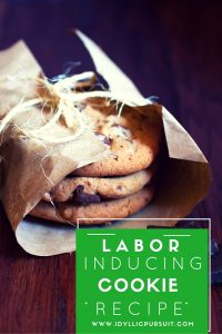 These cookies are said to induce labor! www.idyllicpursuit.com