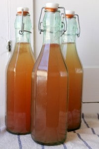 Bottled Kombucha