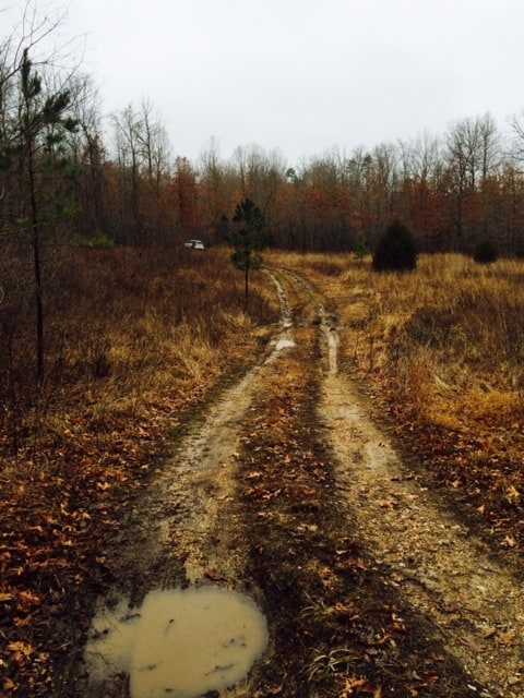 14 acres in the Missouri Ozarks