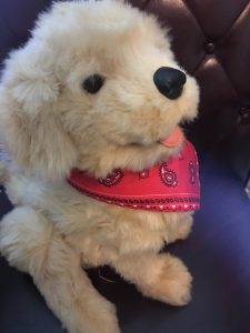 HASBRO’S JOY FOR ALL™ Companion Pets