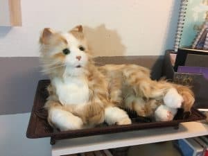 HASBRO’S JOY FOR ALL™ Companion Pets
