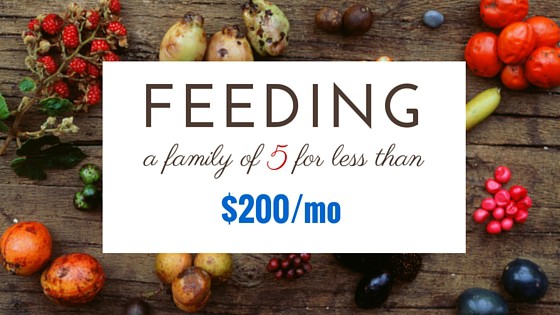 How I Feed a Family of Five for $200 Per Month
