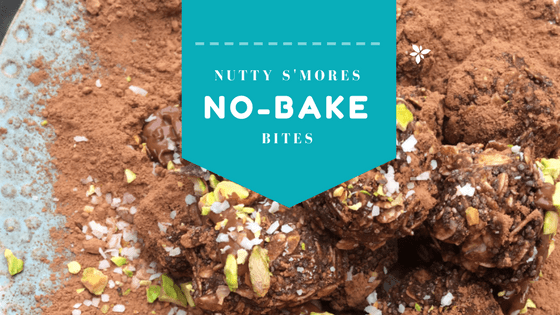 Nutty S'mores No-Bake Bites at idyllicpursuit.com