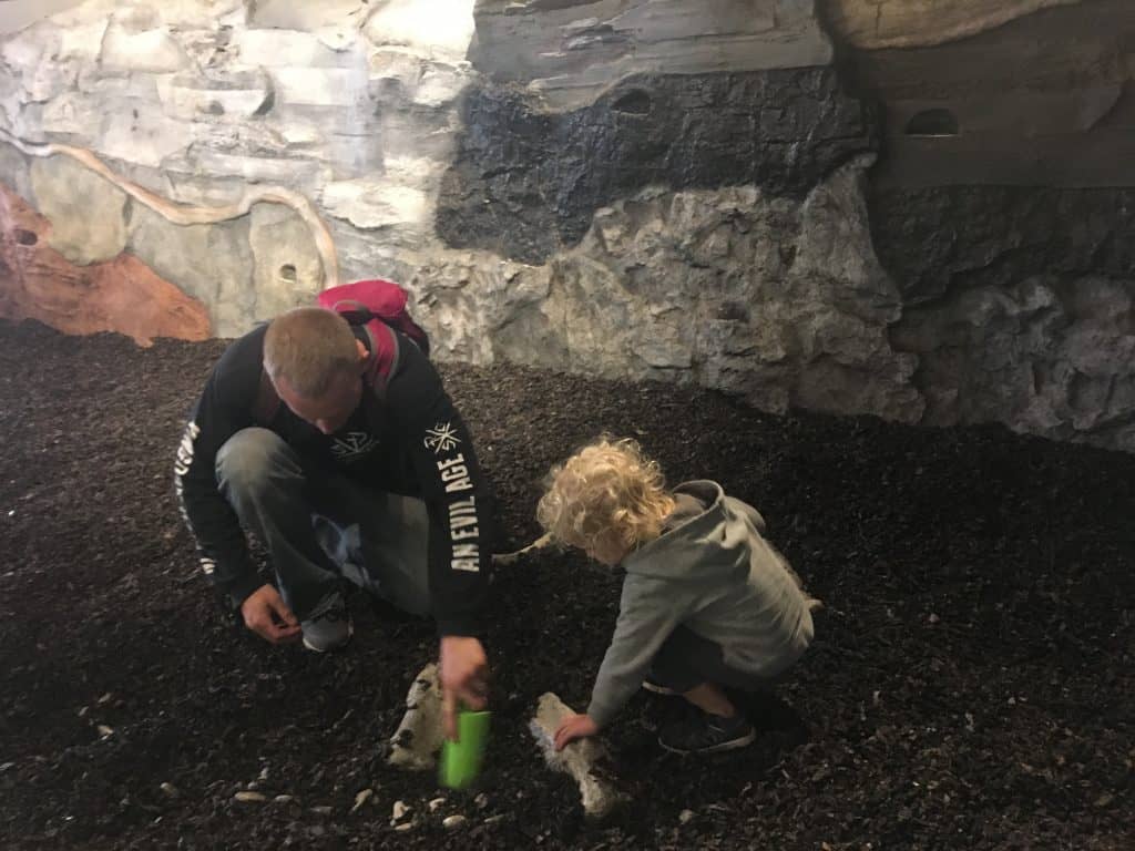 Discovery Center in Springfield, MO