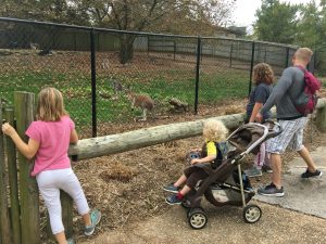 Two-Day Getaway in Springfield, MO