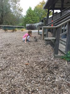 Two-Day Getaway in Springfield, MO