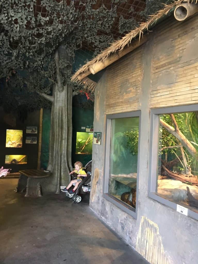 Two-Day Getaway in Springfield, MO