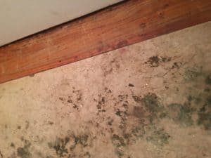The hallway looked like this after removing carpet. Was it asbestos linoleum?