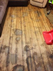 Heavily pet stained floors after removing carpet