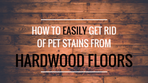 How to easily get rid of pet stains from hardwood floors