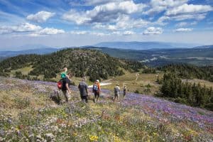 Alpine hiking in BC