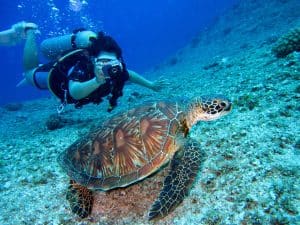 6 of the Most Adventurous Activities in Costa Rica