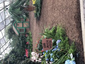 Hundred Aker Wood at the Conservatory in Fort Wayne, Indiana