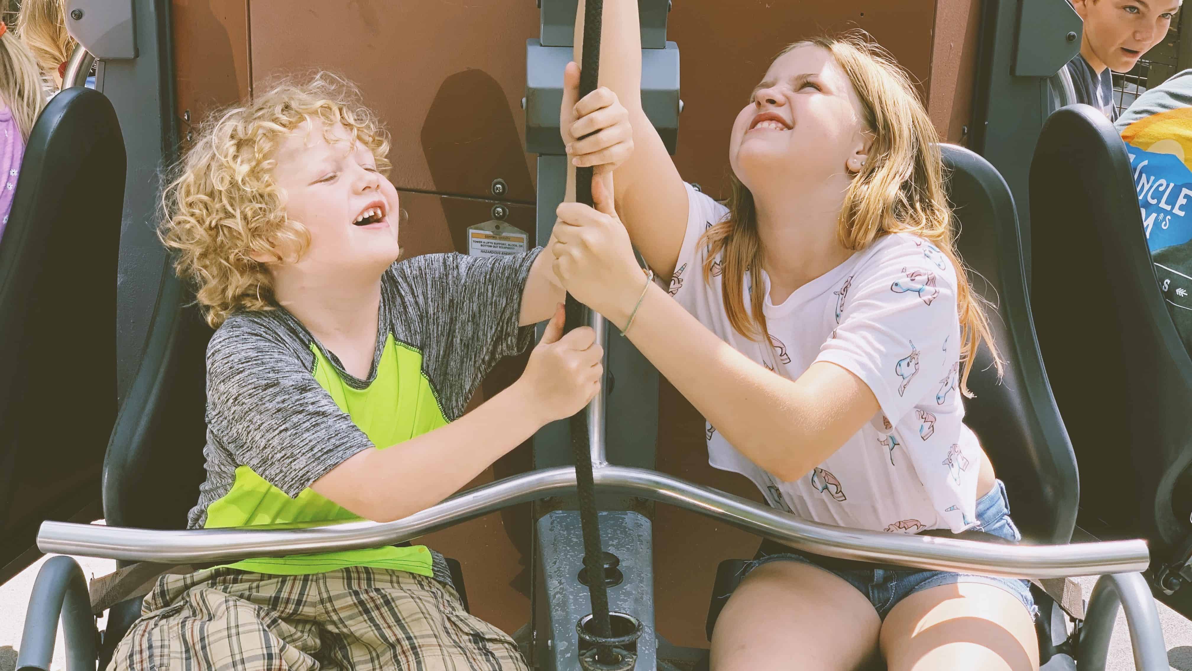 The Ultimate Guide to Dollywood as a Special Needs Family