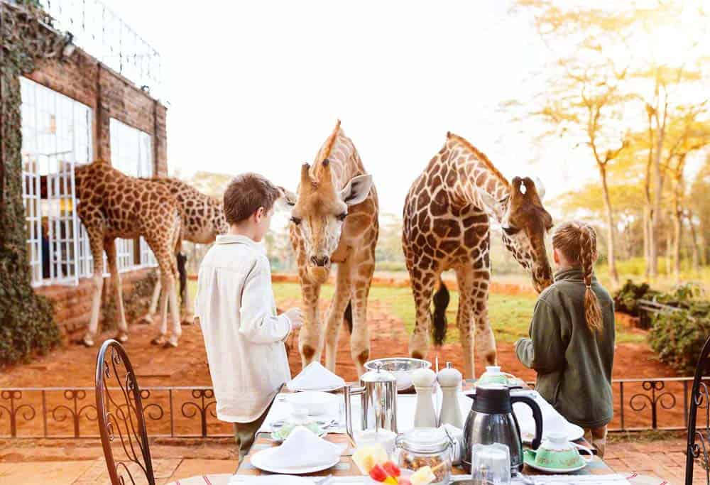 Click to see the top 15 bucket list places to visit in the world! bucket list adventures | 30 places to visit before 30 | bucketlist | bucket list vacations