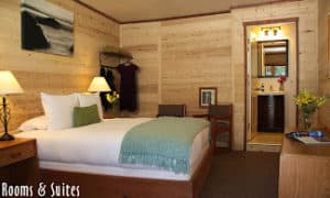 Big Sur River Inn beds