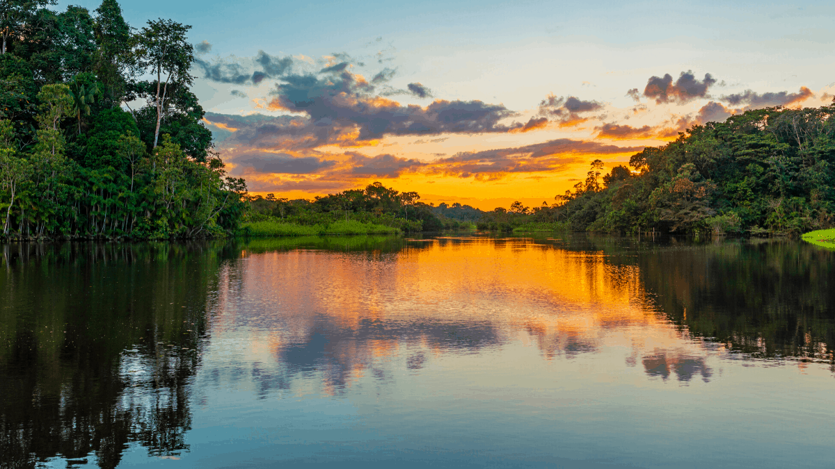 20 photos of the Amazon