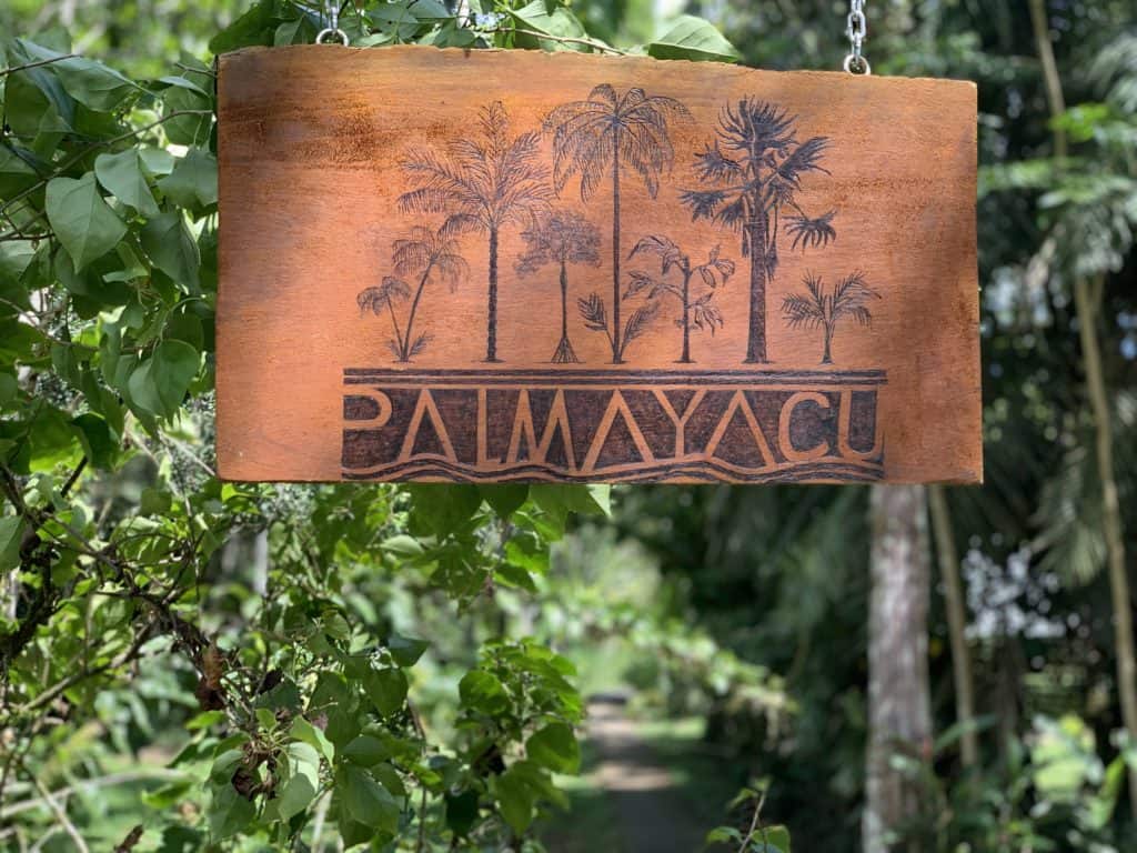 Photos of the Amazon: staying at the commune Palmayacu