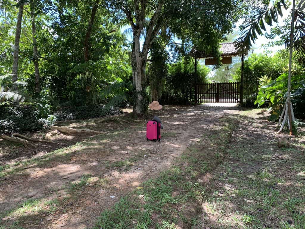 Photos of the Amazon: getting ready to leave the commune and head back to the USA
