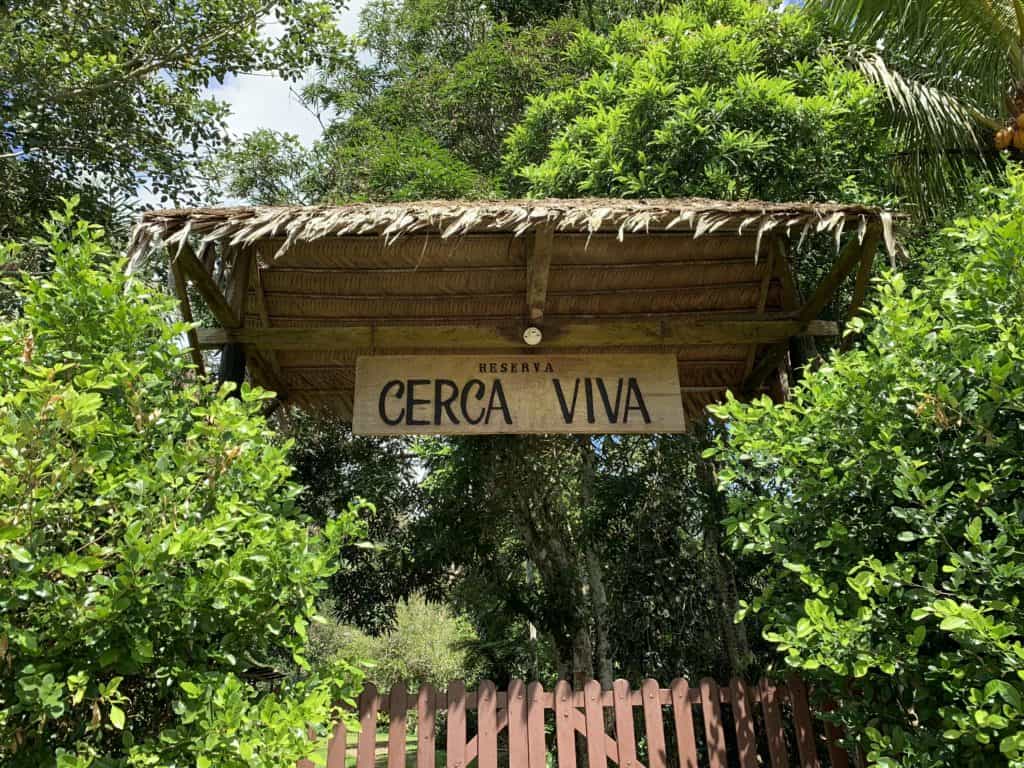 Photos of the Amazon: Cerca Viva commune in the rainforest, 20 minutes from Leticia, Amazonas, Colombia