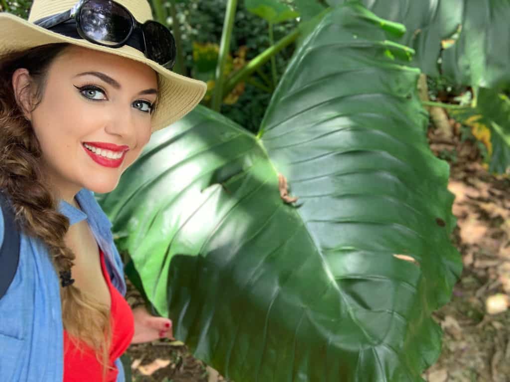 Photos of the Amazon: plants bigger than me