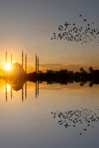 Turkey Pictures - Adana