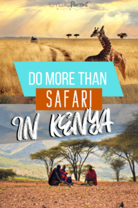 do more than safari in kenya, Big 5 in the Maasai Mara