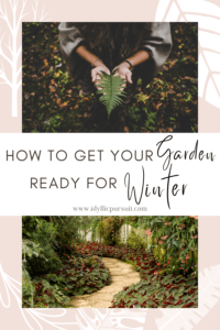 How to get your garden ready for winter