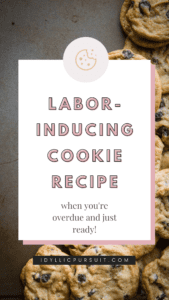 Labor Inducing Cookie Recipe