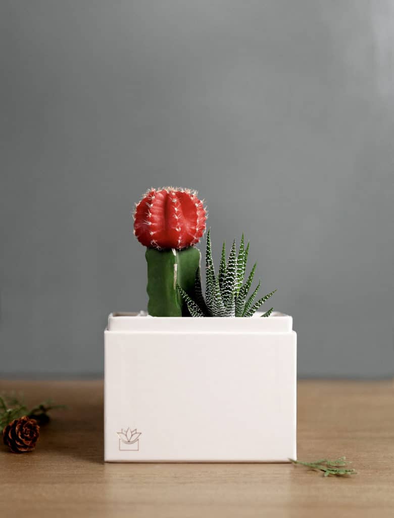 2021 holiday gift guide
