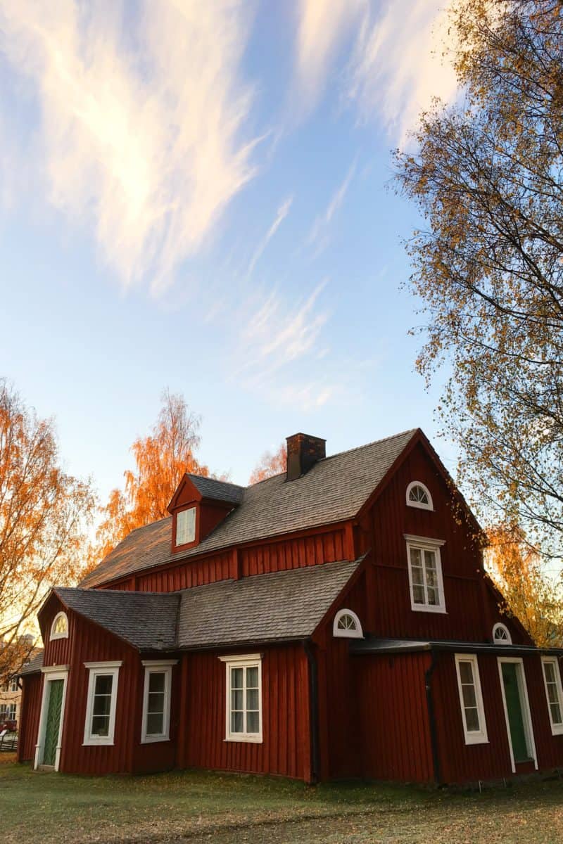 Signs of Roof Damage
