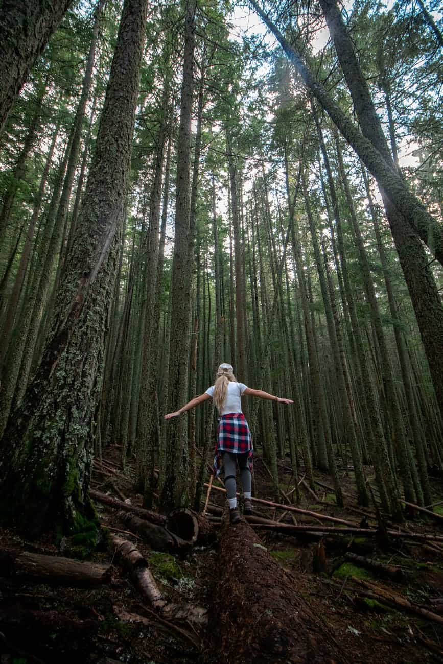 back view of a woman walking on a log in the forest