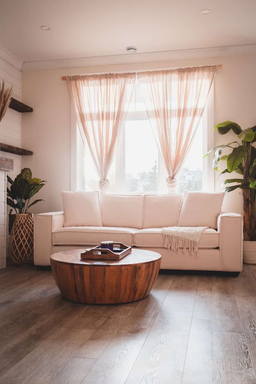 living room with couch and plants against table near window