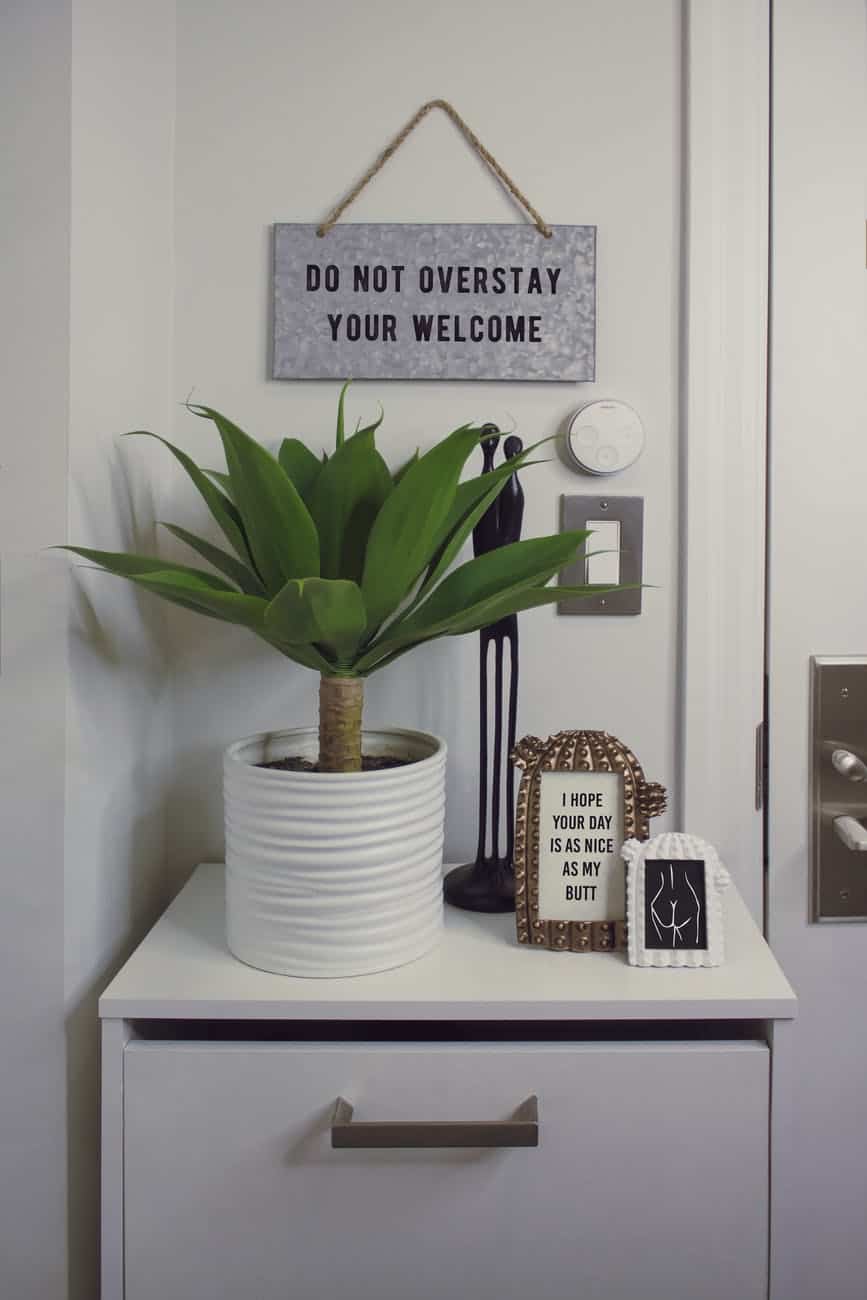 green dracaena plant with white pot on white wooden surface