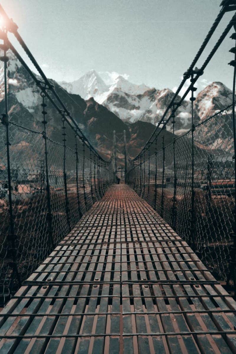 brown and black bridge