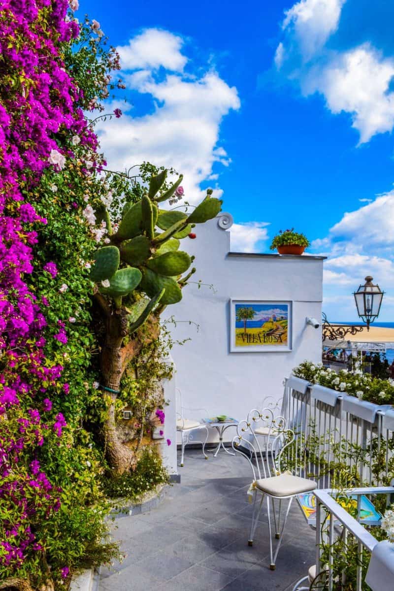 veranda surrounded by green cactus and pink bougainvillea