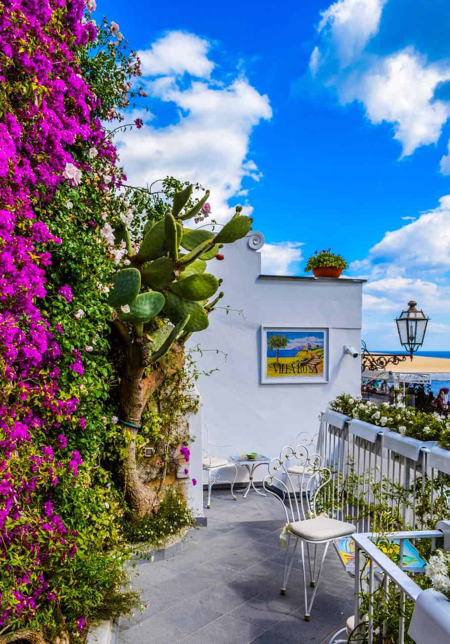 veranda surrounded by green cactus and pink bougainvillea