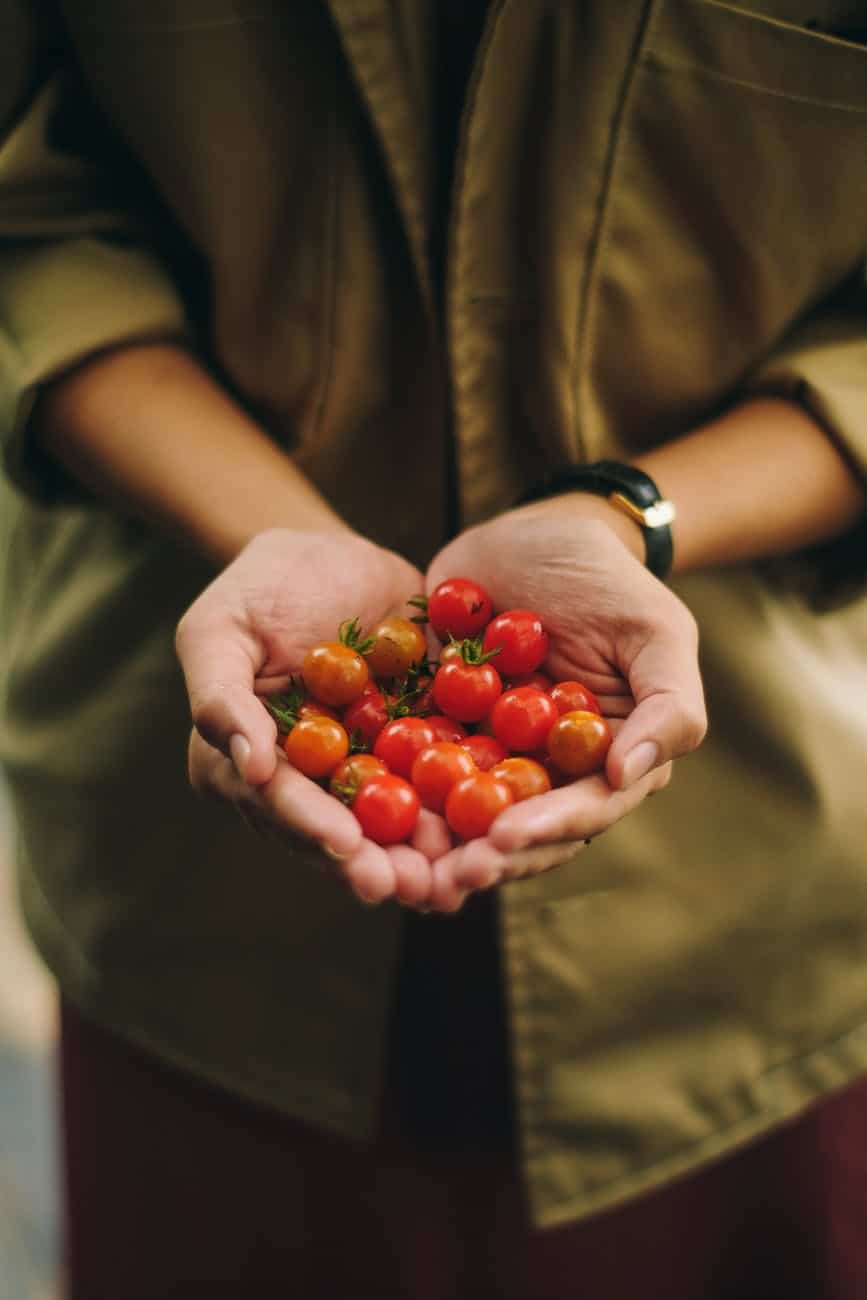 photo of person holding cherry tomato