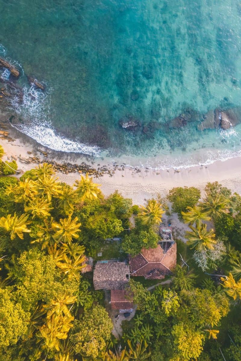 bird eye photogrpahy of beachline beside trees