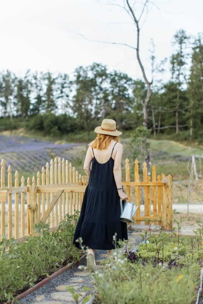 wood nature people woman; spruce up your garden