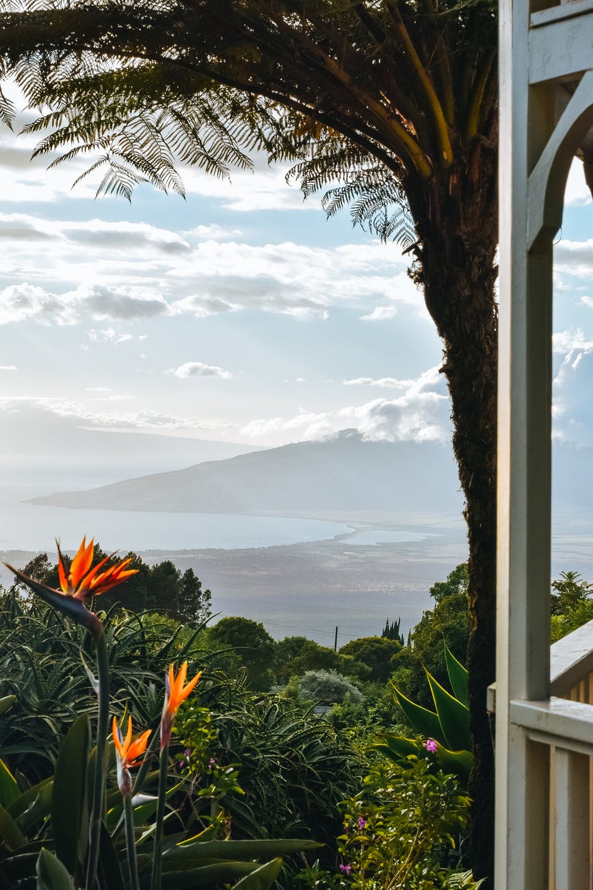 terrace with view on tropical garden against sea with mountains