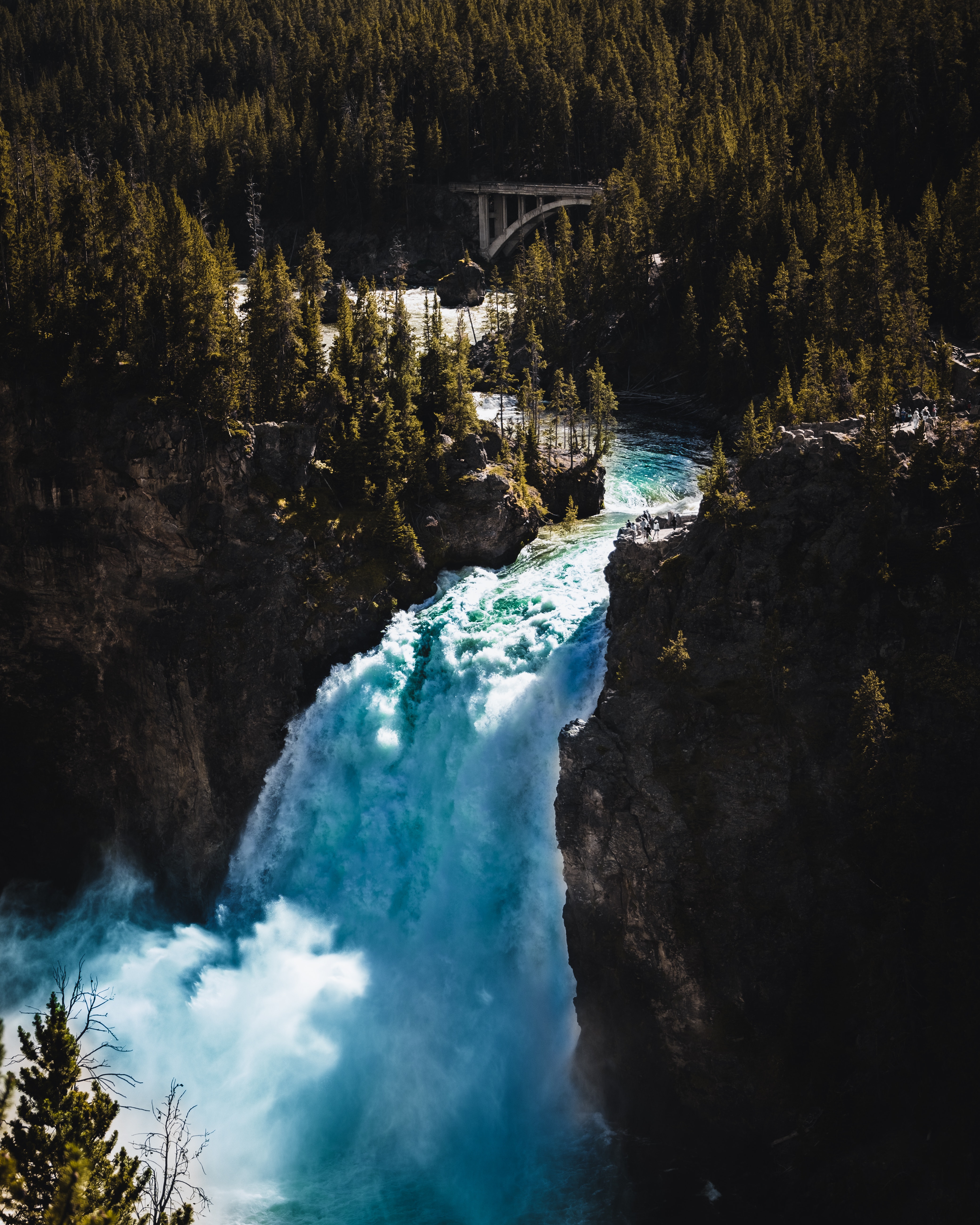 pexels-piccinng-5339027