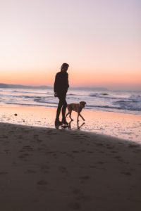 woman walking with dog at shore