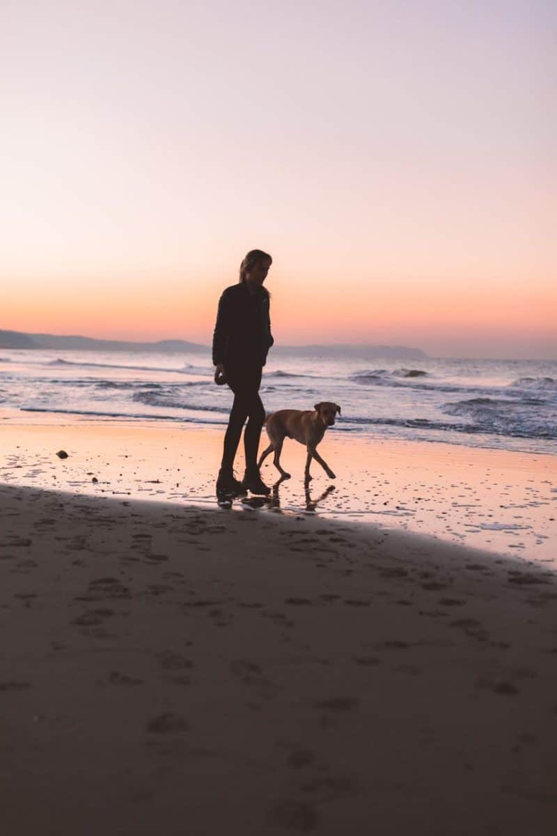 woman walking with dog at shore