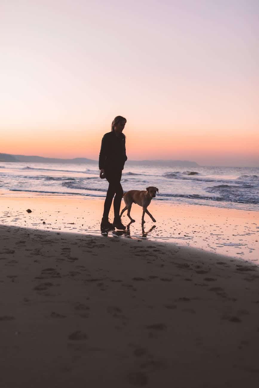 woman walking with dog at shore