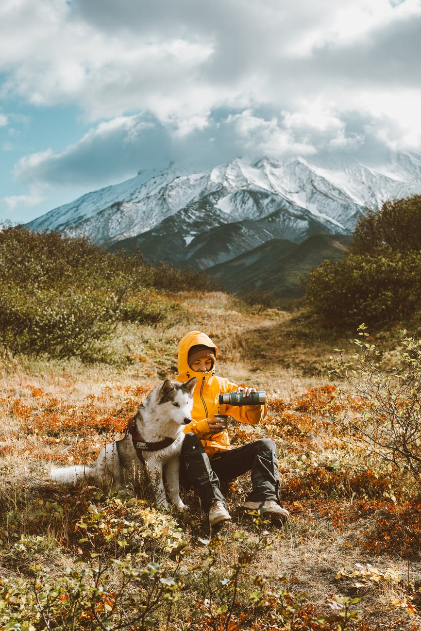 tired traveler with husky on mountainous terrain