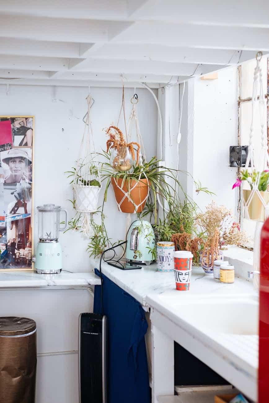 rustic kitchen interior with plants