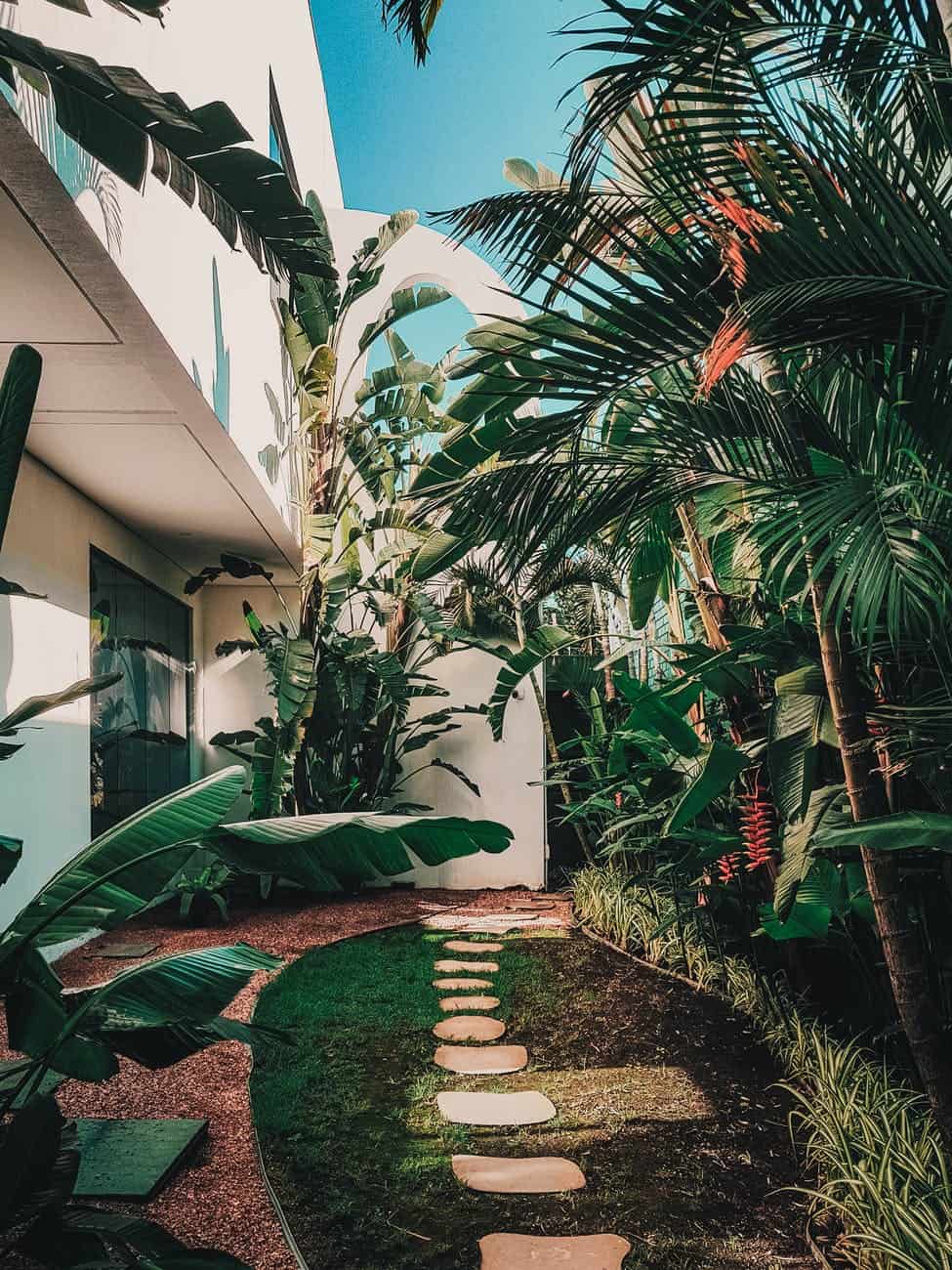 garden walkway view